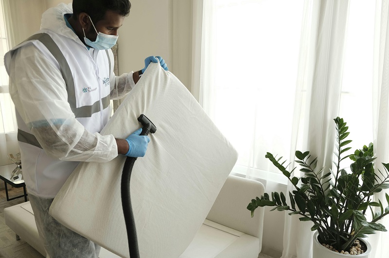 Mold Remediation in Philadelphia